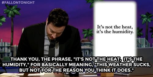 tumblr_n7fr273Rgv1qhub34o1_500