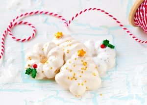 700-Christmas-Spritz-Cookies-jar-0579