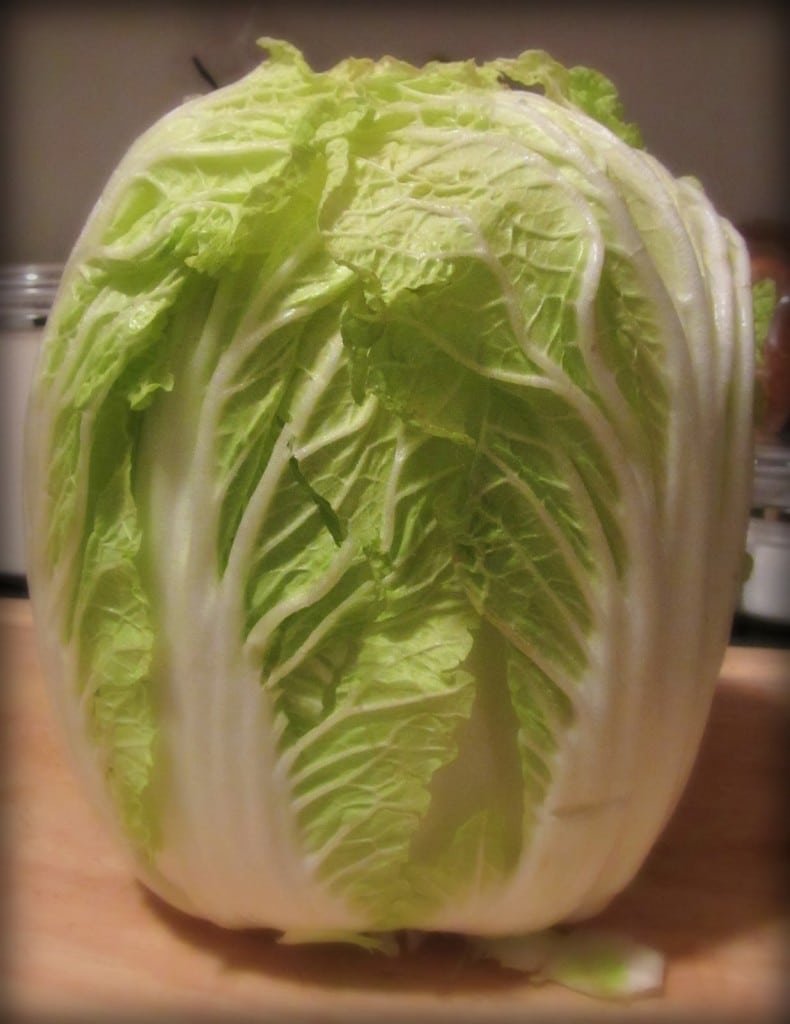 Buckle Up.. It's the Slaw