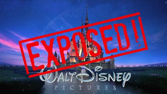 Disney Movie Theories Pt. I