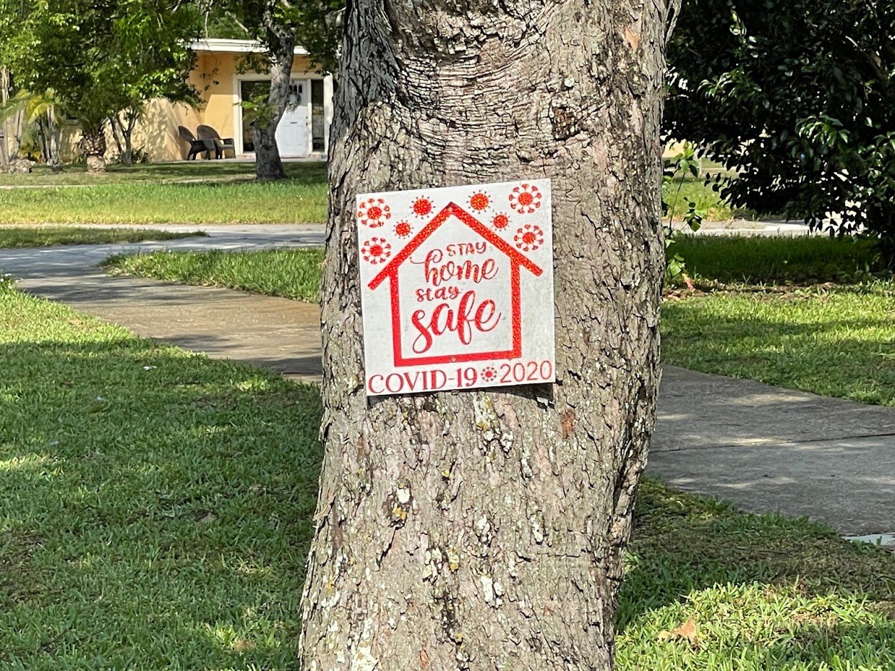 Our Life, Quarantined