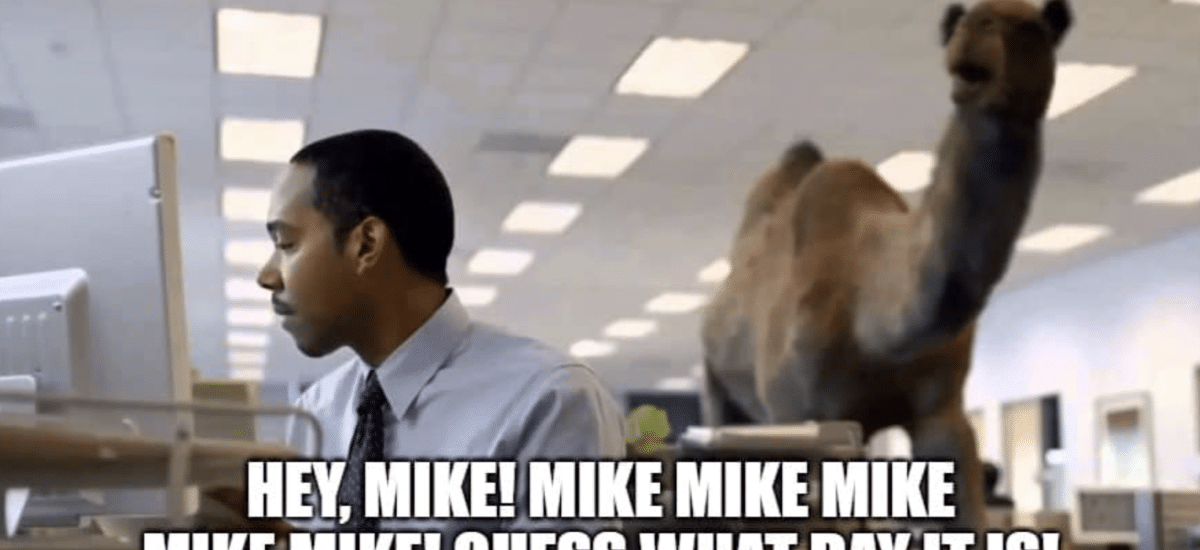 Humpday Update 4/8/26: WHAT DAY IS IT?!