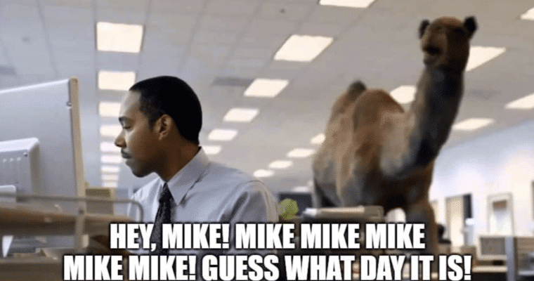 Humpday Update 4/8/26: WHAT DAY IS IT?!